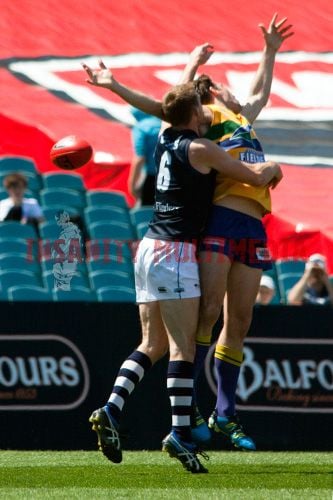 Brad Crabb 150 Games Image -572998d98ca49